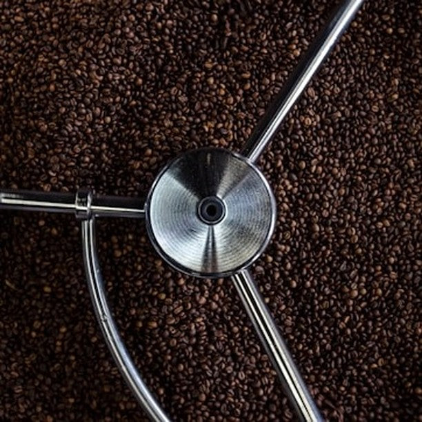 Advanced Coffee Roasting Course